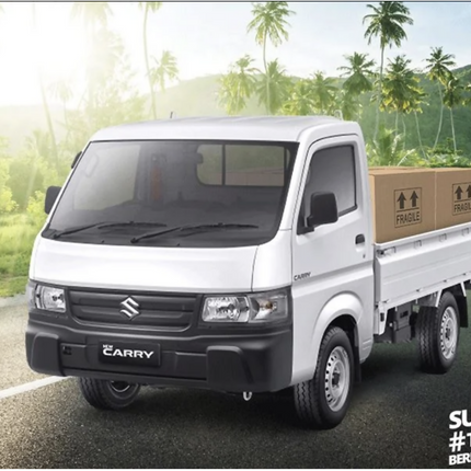Suzuki Mega Cary