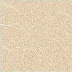 20x20 / Roxy Brown