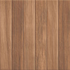 50x50 / Darwin Brown