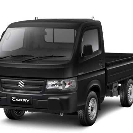Suzuki Mega Cary