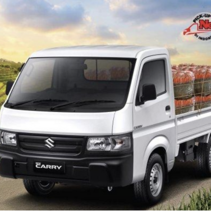 Suzuki Mega Cary