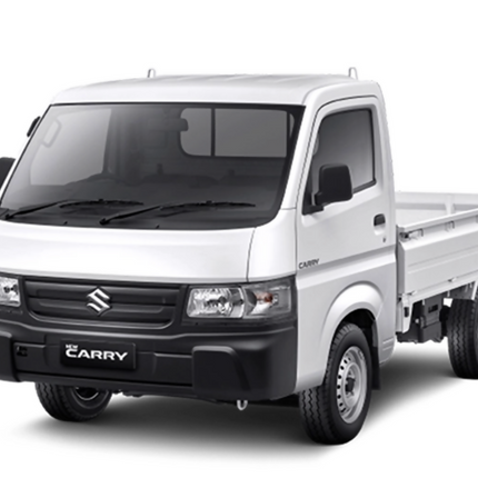 Suzuki Mega Cary