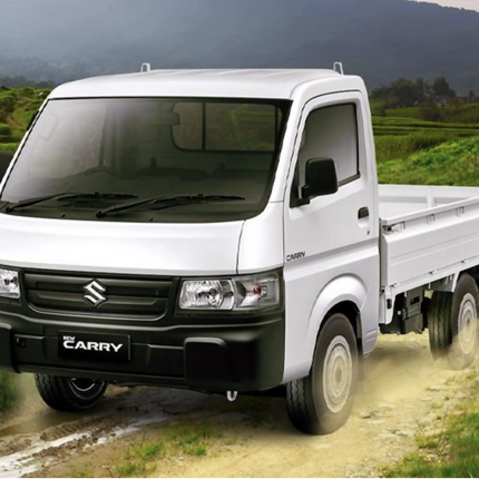 Suzuki Mega Cary