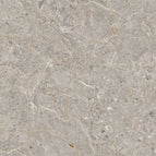 50x50 / Lincoln Rec Cream